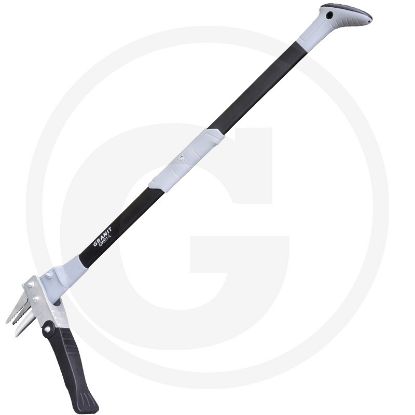 Afbeeldingen van Onkruidsteker