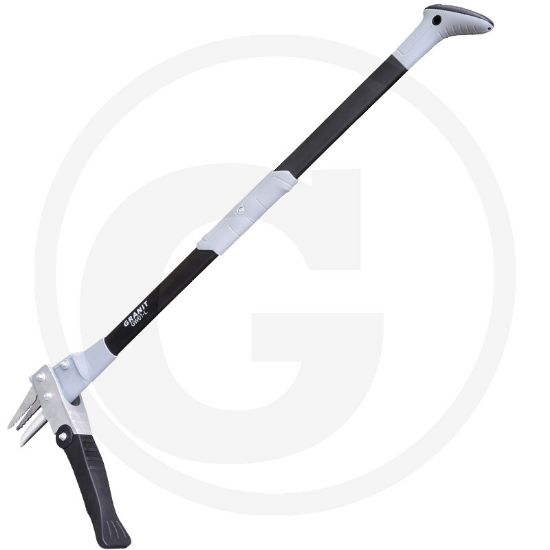 Afbeeldingen van Onkruidsteker