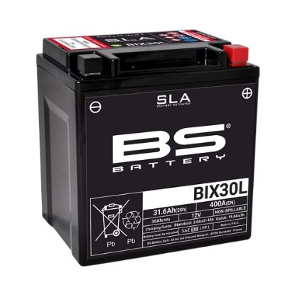Afbeeldingen van BS Battery BIX30L SLA accu